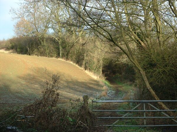 Ditchedge lane